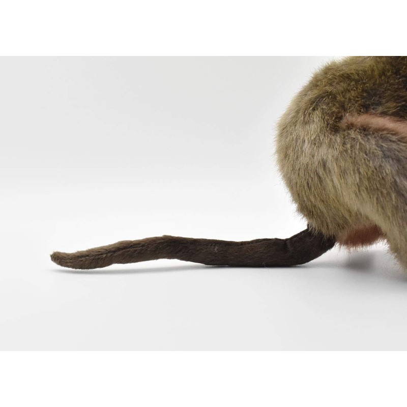 BH7362 HANSA クアッカワラビー ２２