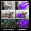 UV Flashlight Black Light USB Rechargeable 395nm Blacklight Mini, Woods