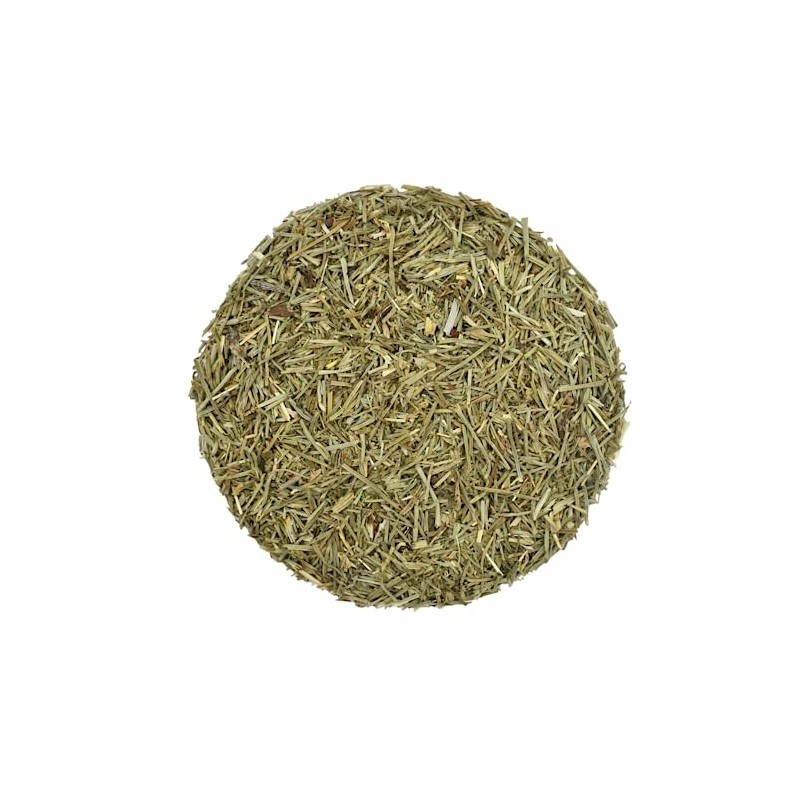 Horsetail Dried Leaves Loose Herb Tea - Equisetum Arvense L.