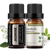 GREENSLEEVES Essential Oil - 10ml (Gardenia + Jasmine)