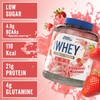 Applied Nutrition Critical Whey Professional Protein Powder