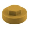TIMCO 1608B29CAP Hex Cover Cap-Vandyke Brown-Box of 1000, 5/16" x16mm,