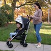 Summer Infant 3Dlite ST Convenience Stroller, Black & Gray -