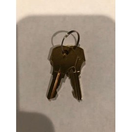 2 NEW SIMPLEX B/CAT 30 STYLE KEY FOR FIRE ALARM PANEL AND PULL STATIONS