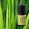 Primavera Organic Fragrance Oils for Aromatherapy 5 ml Each Scent: