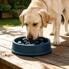 Genérico Comederos Lentos para Perros | dispensador antiahogo de