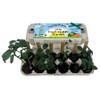 Backyard Safari Company Sunny-Side Up Gardens, Little Fresh Veggie Garden