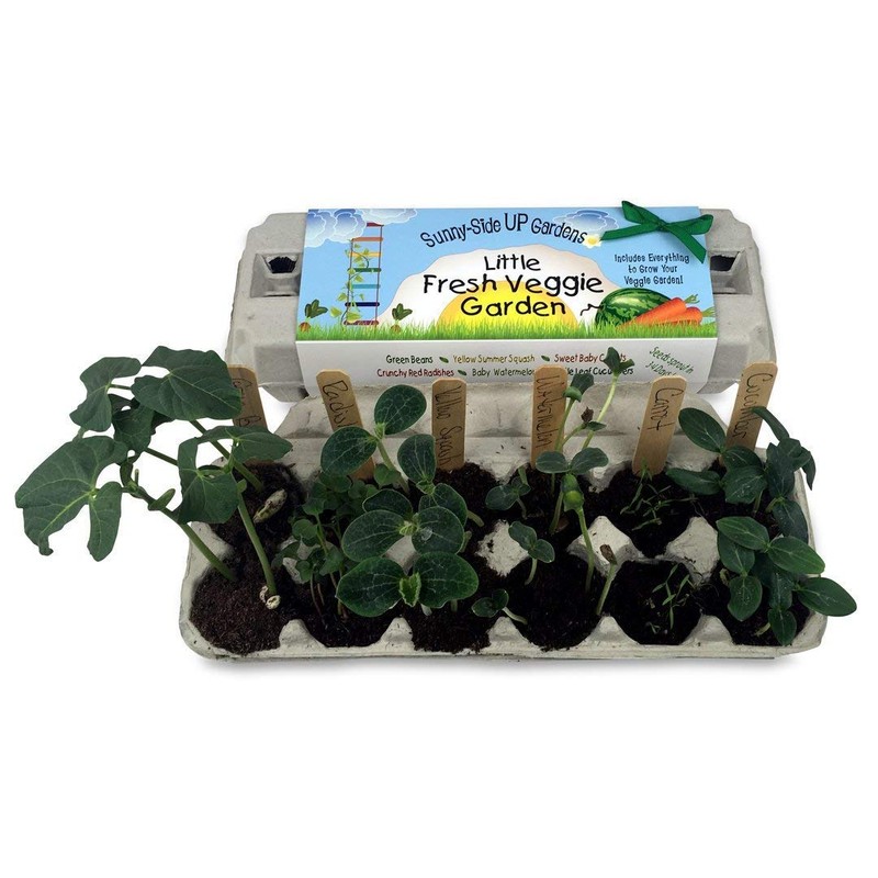 Backyard Safari Company Sunny-Side Up Gardens, Little Fresh Veggie Garden