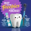 Charcoal Total Smile Makeover Kit, Perfect Smile Package - GuruNanda