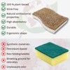 Biodegradable Natural Sponges with Coconut Fiber - Eco-Friendly Cleaning for
