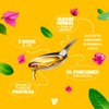 Vitaminik Vitalyptus-D, Jarabe para Tos Sin Azúcar 240 ml |
