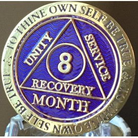 8 Month AA Medallion Reflex Purple Gold Plated Chip