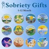 Sobriety Coins Set 1-12 Months Alcoholics Anonymous Medallions AA Chip