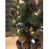 Kurt Adler Petite Treasures 12-Piece Miniature Ornaments Set, 2 Pack