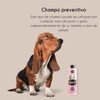 Petuxe Petuxe Preventative Shampoo for Pets, with Tea Tree Oil