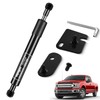 Vepagoo 43205 Truck Tailgate Assist Shock Damper Compatible with 2017-2024