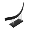 BIUDECO Large Eyelash Model for Salon False Eyelash Extensions Display