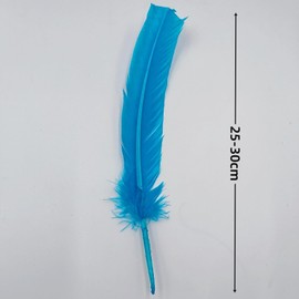 Lake Blue Turkey Feathers,22 Pcs Natural Feathers Bulk Long 10-12 inch (25-30cm),Turkish Feather for Crafts DIY Wedding Home Party Mardi Gras Decorations (Lake Blue)