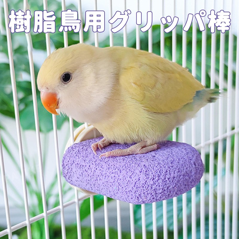 PAVIKE Nail Sharpening Step, Small Animals, Monga, Washable, Nail Sharpener,