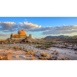 Avolander Aquarium Background, Reptile Tank Background, Desert Terrarium Background 27x11 inches