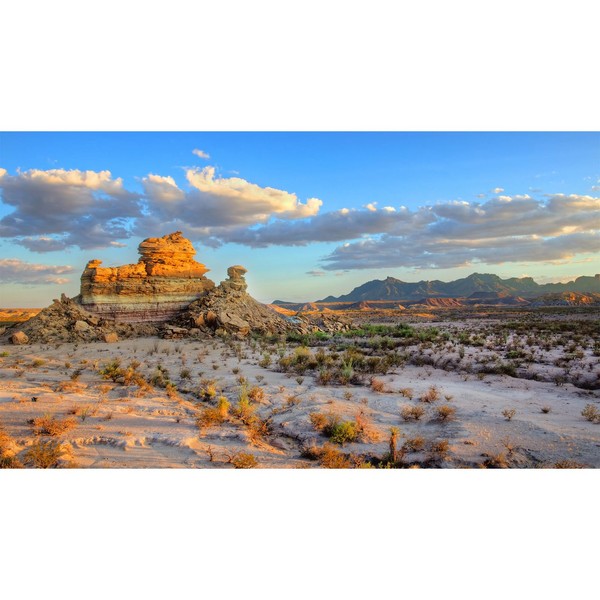 Avolander Aquarium Background, Reptile Tank Background, Desert Terrarium Background 27x11