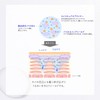 Sekkisei Clear Wellness Whip Shield Cream 1.4 oz (40 g)