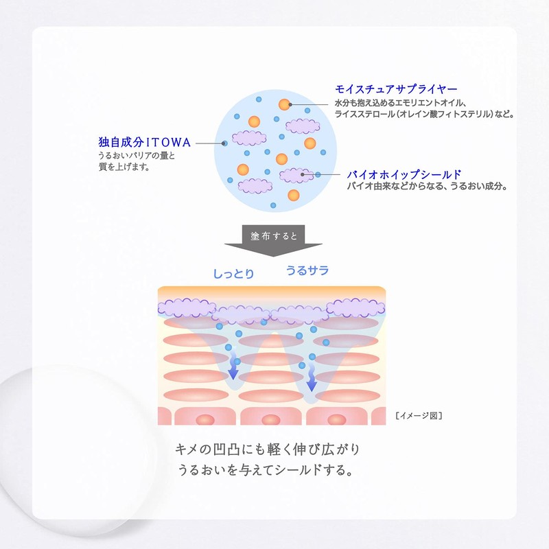 Sekkisei Clear Wellness Whip Shield Cream 1.4 oz (40 g)