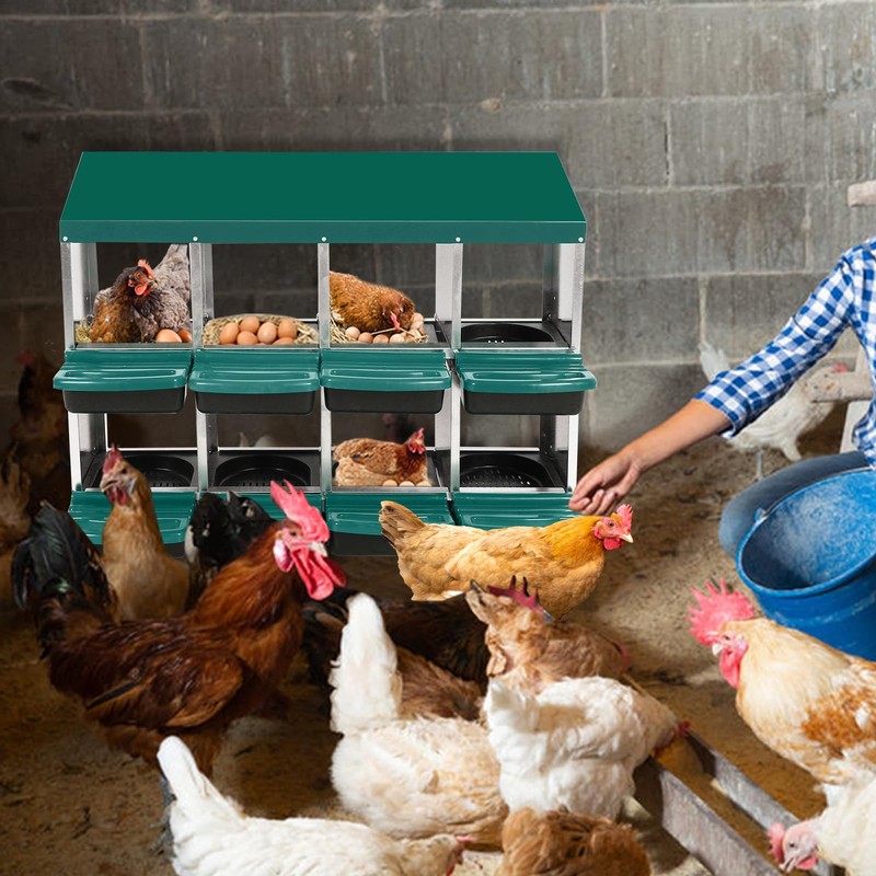 8 Hole Chicken Nesting Box, Roll-Away Egg Collection System with