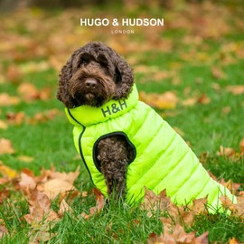 HUGO & HUDSON Dog Puffer Jacket - Clothing & Accessories for Dogs Reversible Water Resistant Dog Coat with Collar Attachment Hole - Green & Navy - S35