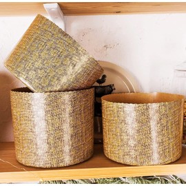 Panettone 12 Non-Stick Panettone Paper Mould, W 6.06 x H 11.2 cm