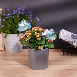 NiHome Glass Plant Self Watering Bulbs 2-Pack Cloud Shaped Clear Water Blue Iridescent Pearl Color Home Watering Globes Potted Planter Insert Decorative Device Vacation Watering Spikes Indoor Outdoor