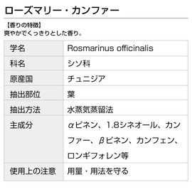 Rosemary Camphor 30ml Incent Essential Oil Essential Oil