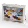 CALVENDO Puzzle Insecta Mechanica | Size