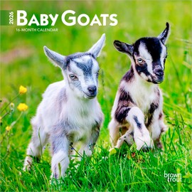 Baby Goats | 2026 7 x 14 Inch (Hanging) Monthly Mini Wall Calendar | BrownTrout | Domestic Animals