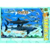Sharks 100 Piece Jigsaw Puzzle