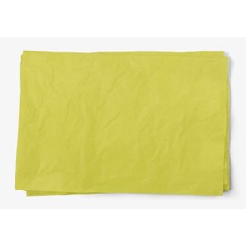 InsideMyNest Premium Quality Extra Large Tissue Paper Sheets 30x20 750x500mm Biodegradable Eco-Friendly Compostable Acid-Free Colorfast Bleed Resistant (Pack of 10 Sheets) (Pistachio)
