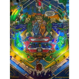 Williams Slingshot Plastic Protector Set for Williams Fish Tales pinball (Set of 2)