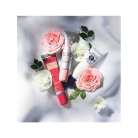 Lip Balm Collection (Choose 1) / 립 밤 컬렉션(택1)