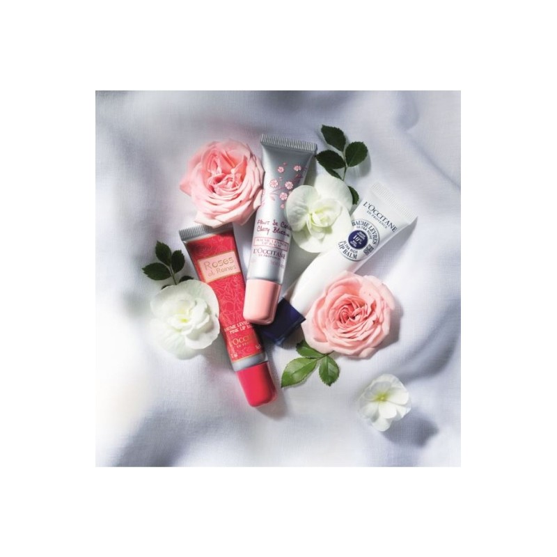 Lip Balm Collection (Choose 1) / 립 밤 컬렉션(택1)