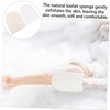 VICASKY 2pcs Loofah Body Scrub Glove Bath Brush Mitts for