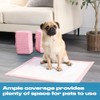 OHS Puppy Training Pads 100 Pack, Leakproof Super Absorbent LEMON