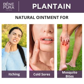 Bene Pura Trust Nature BenePura Plantain Ointment, Natural Ointment for Itching, Rashes and Mosquito Bites, 40 ml