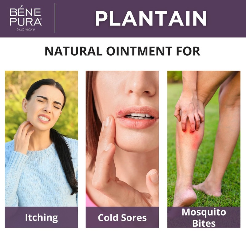 Bene Pura Trust Nature BenePura Plantain Ointment, Natural Ointment for