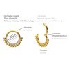 PIERCINGLINE Titanium Clicker Crystals + Balls Ring Nose Septum Ear