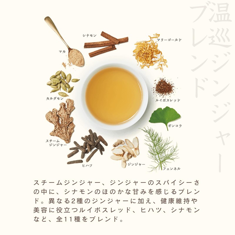 Tree of Life My 30 Day Tea Warm Ginger Blend