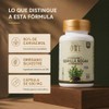 ORE Capsulas de Aceite de Oregano con Semilla Negra, MCT