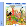 Madagascar Soundscapes