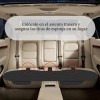 Funda De Asiento Trasero De Automóvil, Antideslizante
