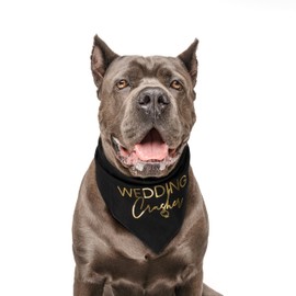 Wedding Crasher Metallic Printed Dog Bandana | 100% Cotton Adjustable Triangle | Wedding Photo Prop | Bridal Shower | Engagement Announcement |Black, Gold Foil (1313)