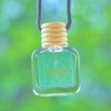CANVAS Beauty Car Diffuser (Pick Your Scent):_Drunken Peach